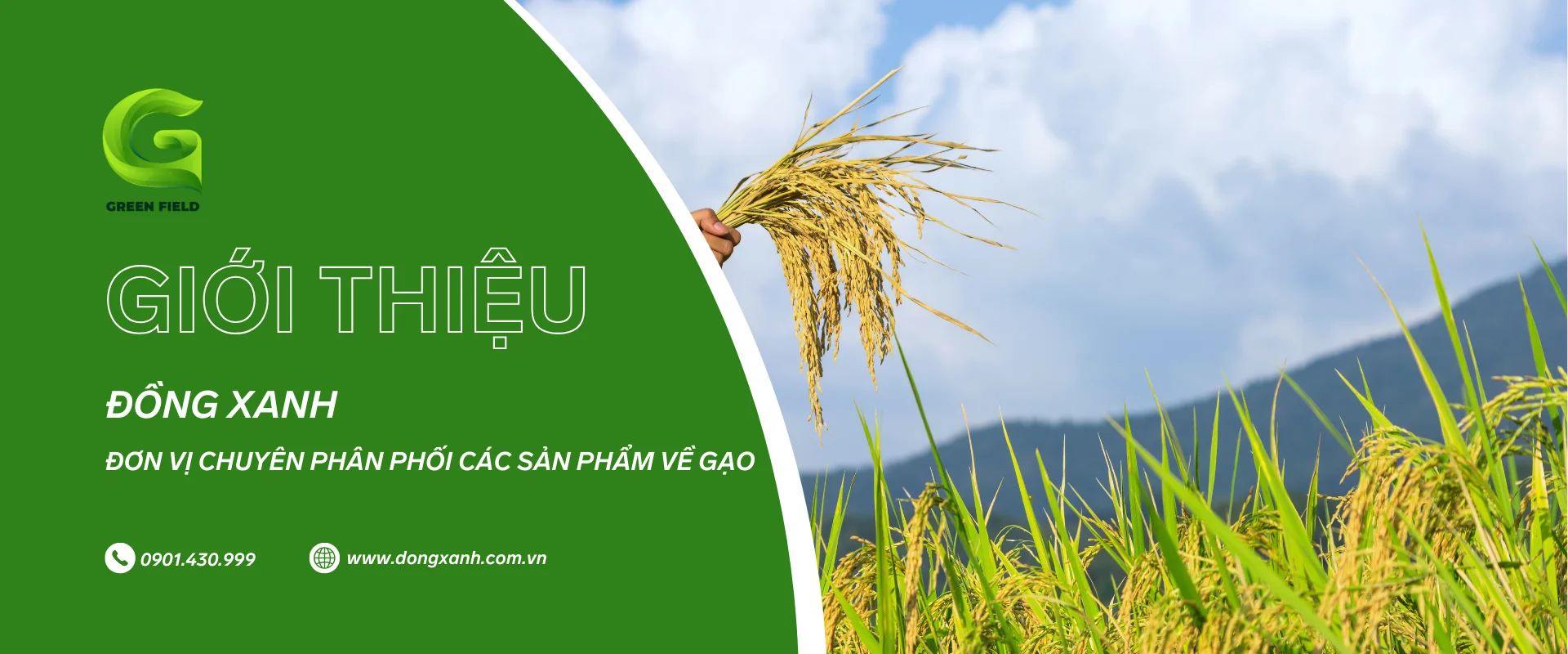 Đồng Xanh - Đơn vị chuyên phân phối các sản phẩm về Gạo