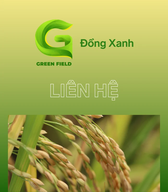 Đồng Xanh - Đơn vị chuyên phân phối các sản phẩm về giống lúa