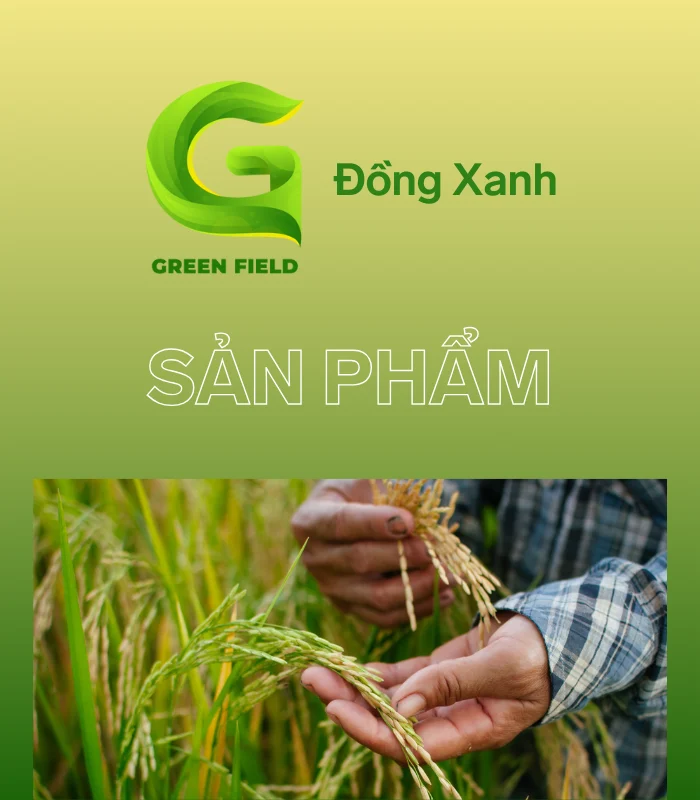 Đồng Xanh - Đơn vị chuyên phân phối các sản phẩm về giống lúa