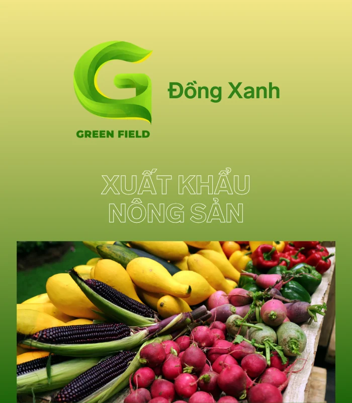 Đồng Xanh - Đơn vị chuyên phân phối các sản phẩm về giống lúa