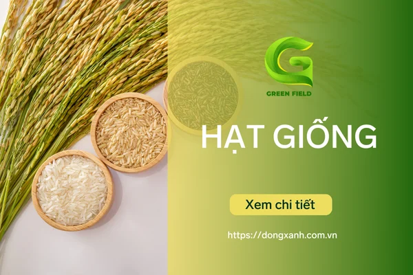 Đồng Xanh - Đơn vị chuyên phân phối các sản phẩm về giống lúa