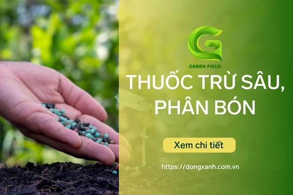 Đồng Xanh - Đơn vị chuyên phân phối các sản phẩm về giống lúa