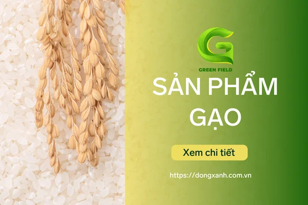 Đồng Xanh - Đơn vị chuyên phân phối các sản phẩm về giống lúa