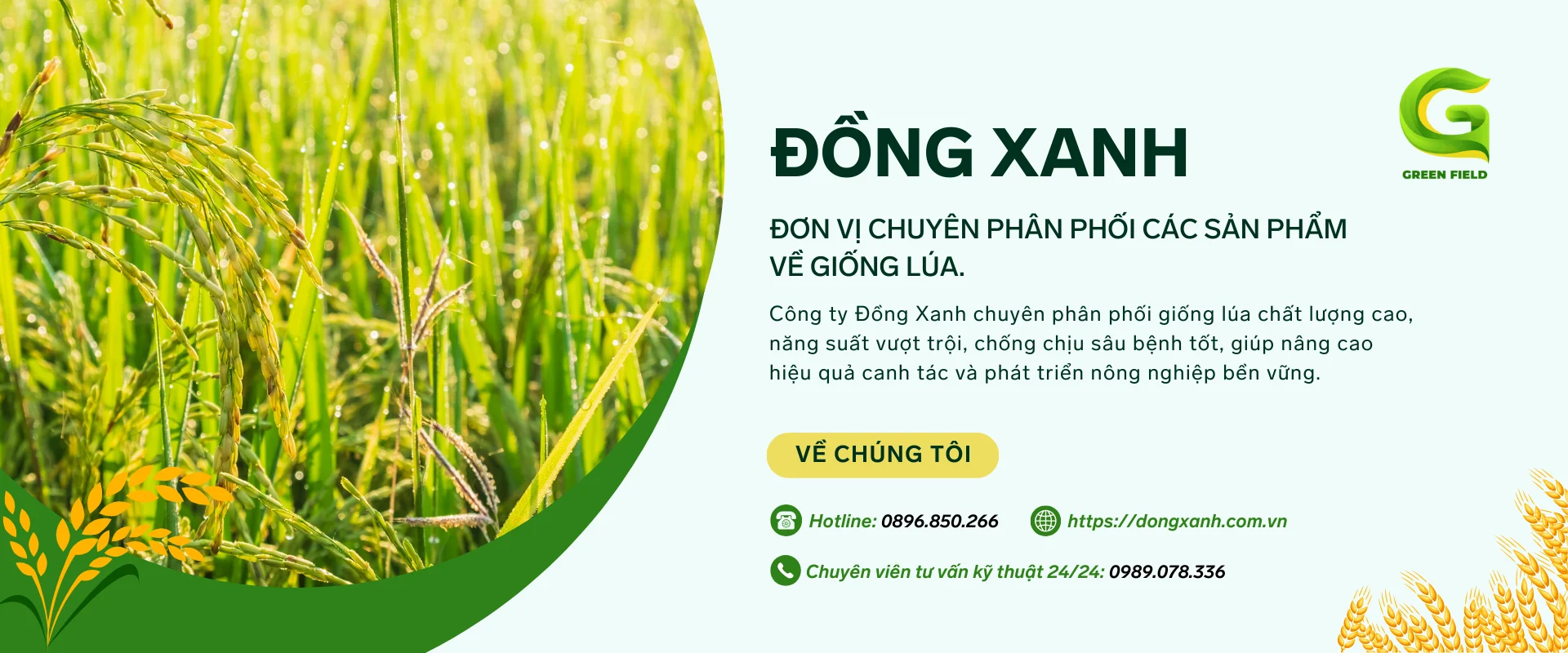 Đồng Xanh - Đơn vị chuyên phân phối các sản phẩm về giống lúa